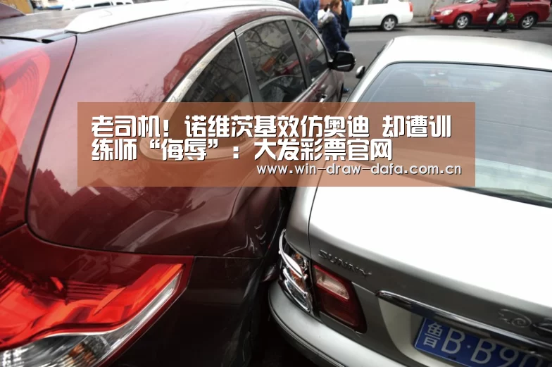 老司机！诺维茨基效仿奥迪 却遭训练师“侮辱”：大发彩票官网