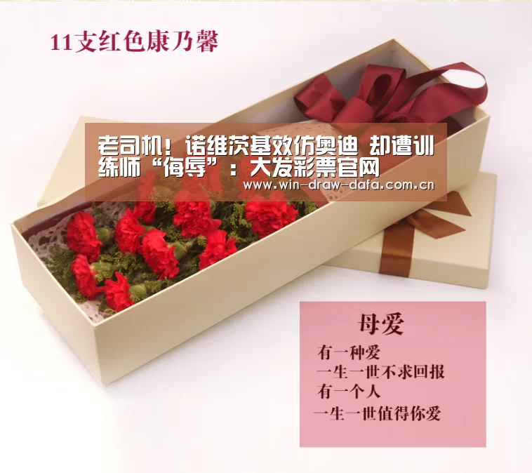 老司机!诺维茨基效仿奥迪 却遭训练师“侮辱”:大发彩票官网(图4) 大发彩票官网