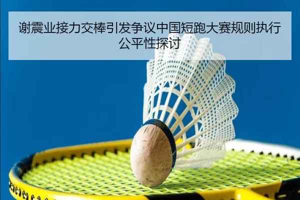 谢震业接力交棒引发争议中国短跑大赛规则执行公平性探讨